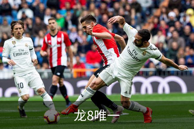 龙8唯一公司介绍图